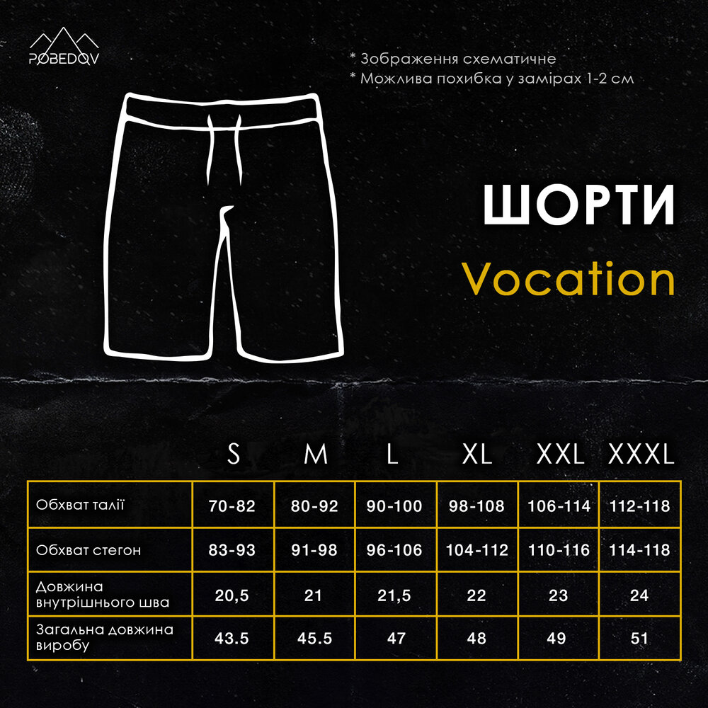 Пляжные шорты мужские Pobedov Vocation Multiki POBEDOV - Фото 2