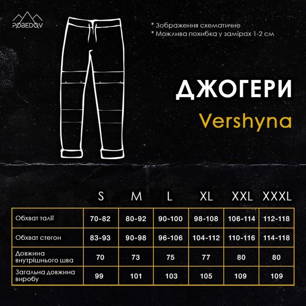 Чоловічі штани джогери з кишенями сині Pobedov Vershyna POBEDOV - Фото 9